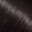 Close-up of shiny, smooth black hair strands.