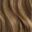 Close-up of wavy light brown hair with blonde highlights.